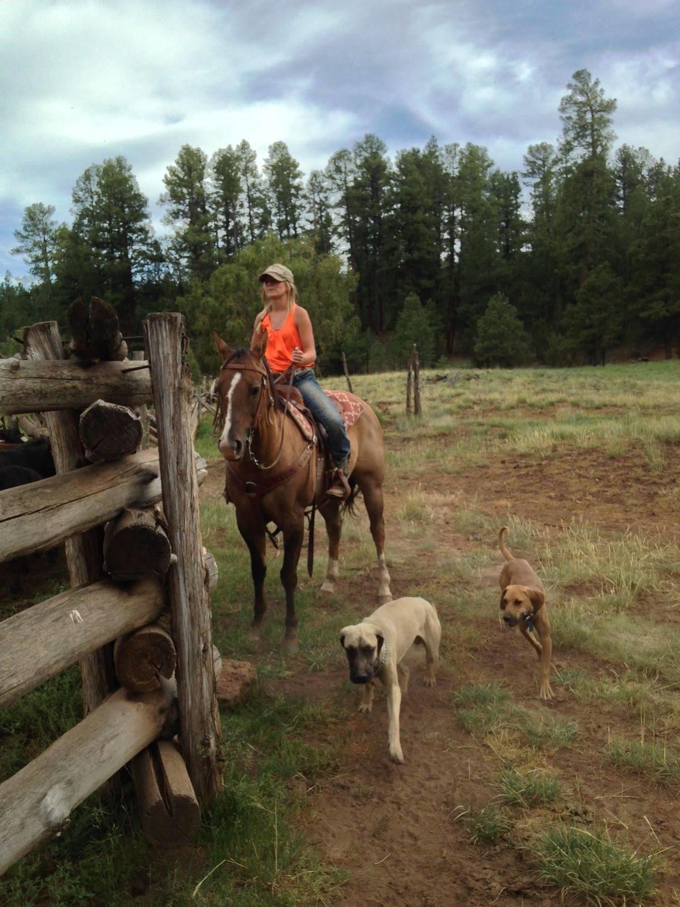 Grand Canyon Ranch & Outfitters Hotell Fredonia Exteriör bild
