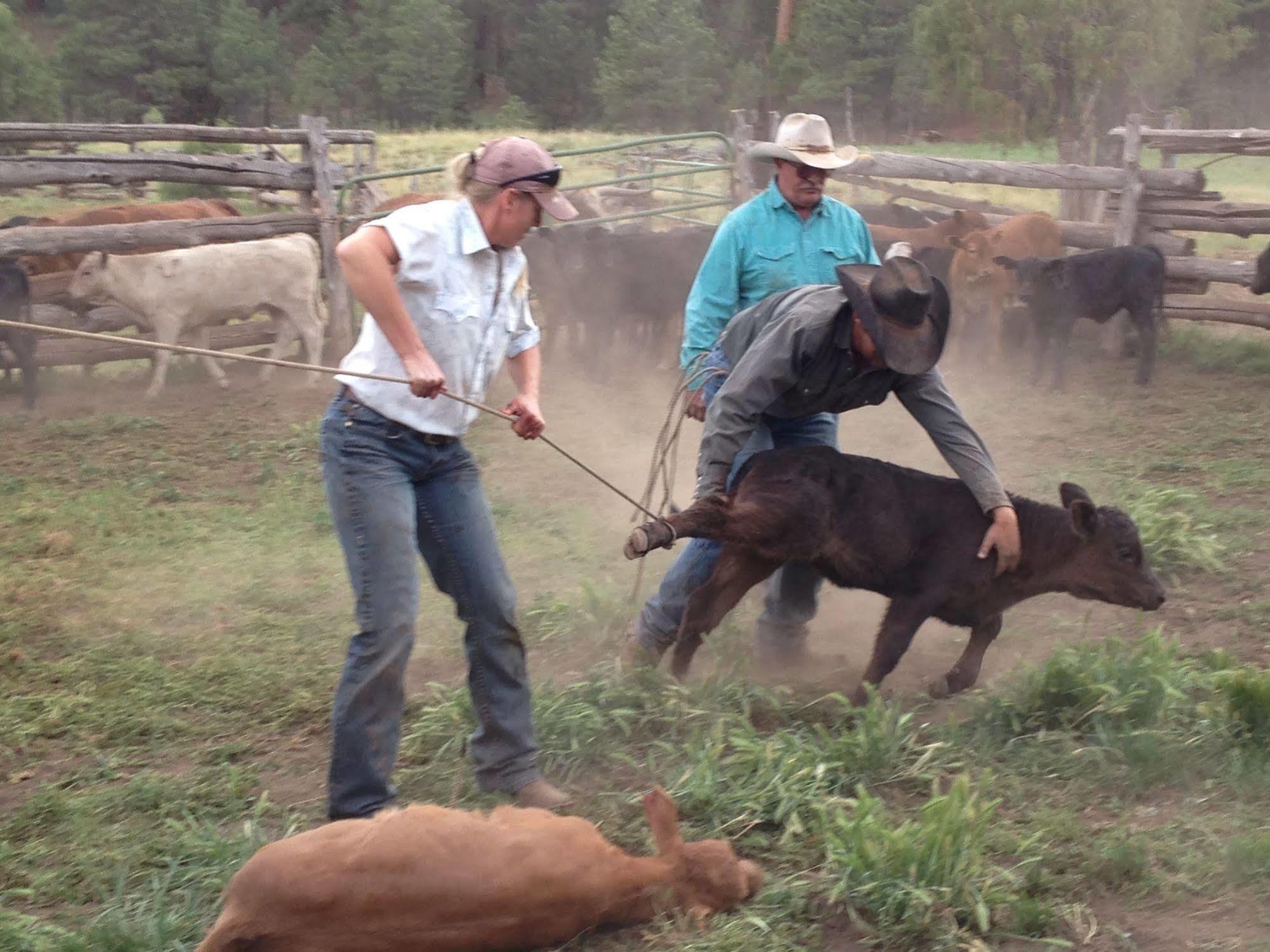Grand Canyon Ranch & Outfitters Hotell Fredonia Exteriör bild