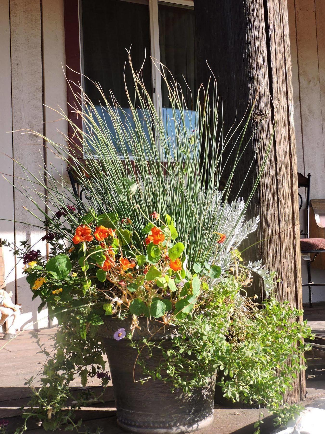 Grand Canyon Ranch & Outfitters Hotell Fredonia Exteriör bild