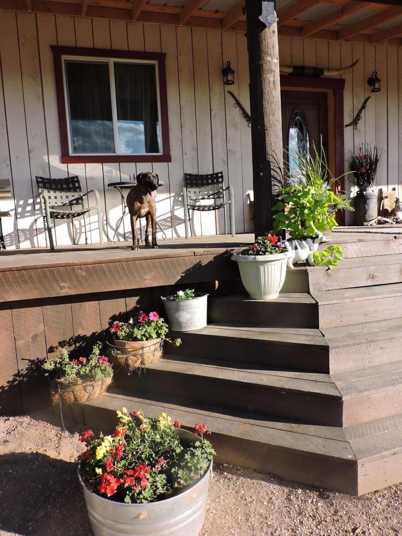 Grand Canyon Ranch & Outfitters Hotell Fredonia Exteriör bild